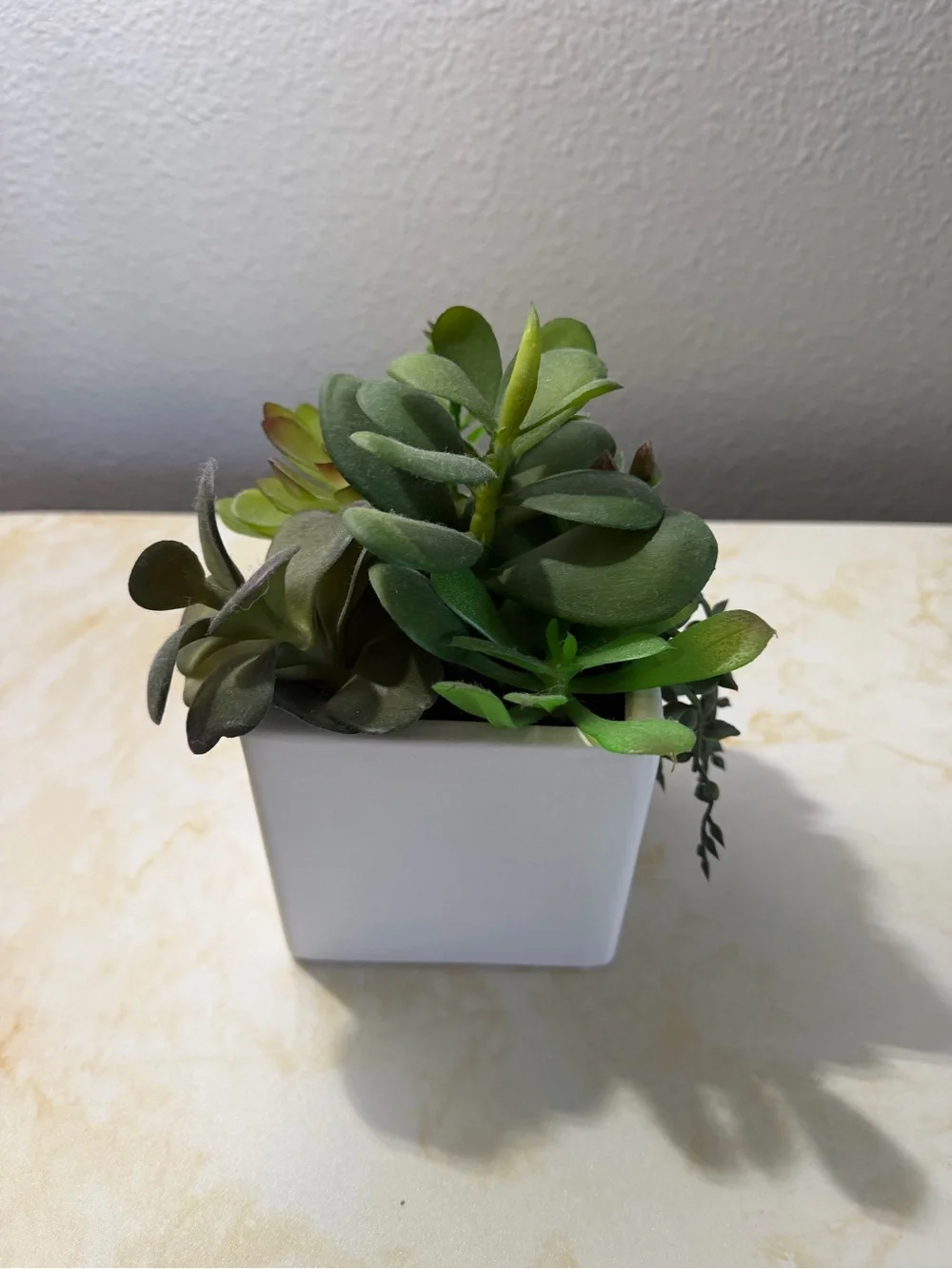 Faux Succulent Arrangement in White Ceramic Pot (Excellent Condition)